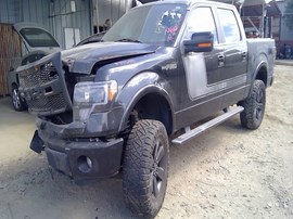 2014 FORD F-150   BLACK, CREW CAB, 5.0, AT 4X4,   F26493